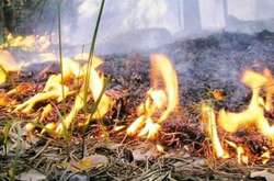 У Києві до понеділка утримається надзвичайна пожежна небезпека