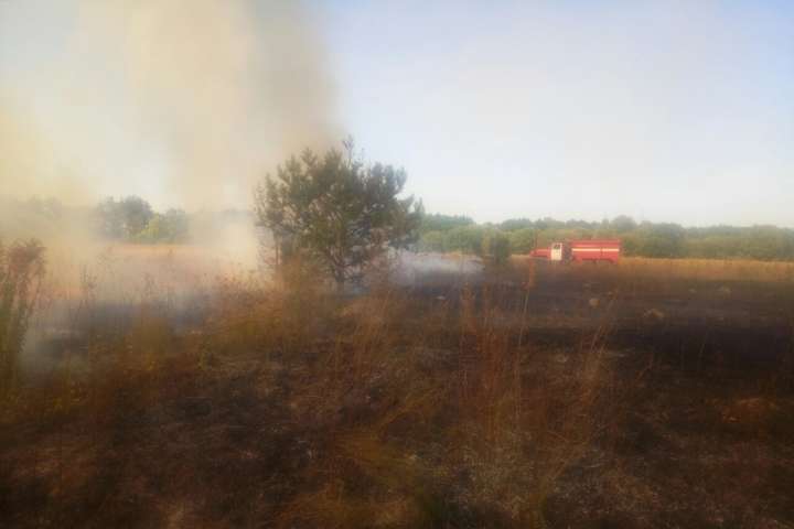 Лише в одному районі Київщини за добу сталося сім пожеж в екосистемах (фото)