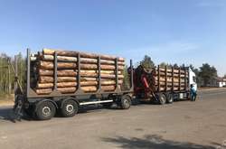 Посадовців агролісу Київщини викрито на незаконному продажу деревини