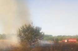 Возле Киева за месяц произошло более 800 пожаров