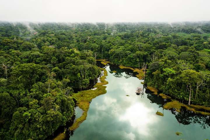 США і Бразилія спрямують $100 млн на збереження амазонських лісів
