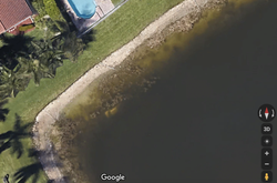 Завдяки сервісу Google Maps у США знайшли рештки людини, яка зникла безвісти 22 роки тому