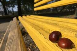 До +25 та без опадів: прогноз погоди в Україні на неділю