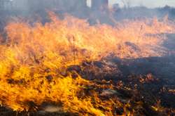 В Україні утримується найвищий рівень пожежної небезпеки