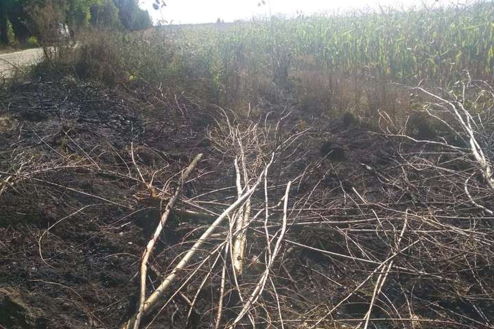 На Київщині дві людини загинули через загоряння сухої трави