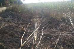  Крім того, дитячі пустощі призвели до вигоряння 10 гектарів поля кукурудзи у с. Хмелівка Тетіївського району 