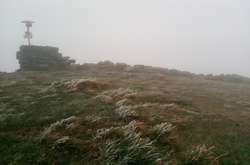 У Карпатах сьогодні пішов дрібний сніг (фото)