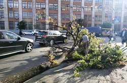 У Києві сильний вітер зламав десятки дерев (фото)