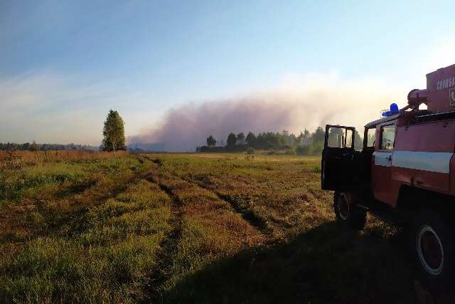 На Житомирщині горять три гектари торфовищ