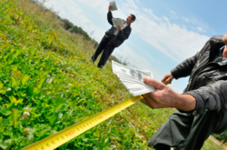 Опубліковано текст законопроєкту про ринок землі