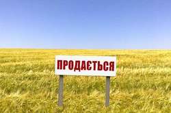 Правительство опубликовало текст законопроекта о рынке земли (документ)