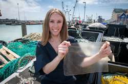 Для створення біопластику Г’юз використала червоні водорості