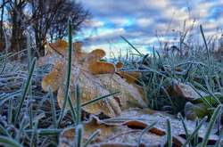 Від -2 до +16: прогноз погоди в Україні на суботу