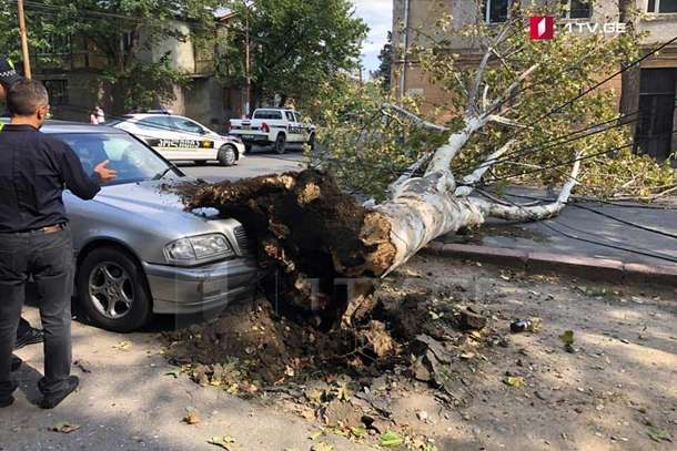 У Грузії ураган позривав дахи та повалив дерева у двох містах