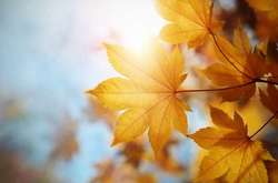 Понеділок в Україні обійдеться без опадів