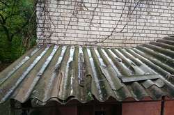 У Донецькій області випав перший сніг (фото)