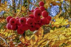 У жовтні в українців буде додатковий вихідний