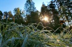 У Києві уночі 24 вересня очікуються заморозки 0-2°