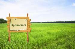 Милованов розповів, яким чином держава хоче отримати понад $1 млрд від продажу землі