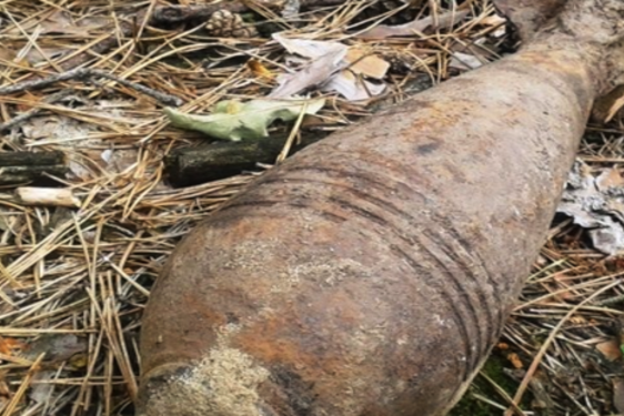 У Києві в урочищі «Лиса гора» знайшли 29 снарядів часів Другої світової