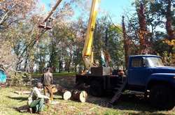 З подвір'їв киян комунальники видалили близько 2,5 тис. сухих дерев