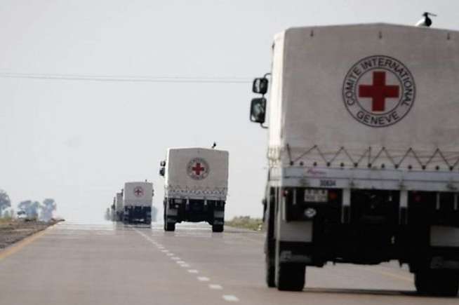 Красный Крест отправил на оккупированный Донбасс более 55 тонн гуманитарной помощи