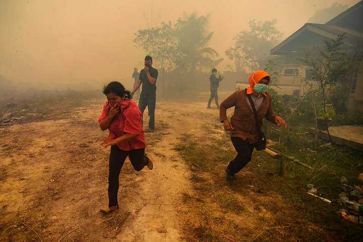 Індонезія продовжує страждати від масштабних лісових пожеж