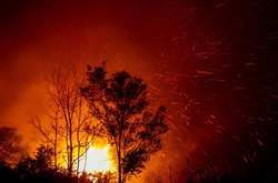 Индонезия продолжает страдать от масштабных лесных пожаров