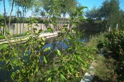 У Тростянці жителі роблять загати на місцевій водоймі