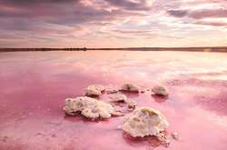 Известное туристам розовое озеро поменяло свой цвет