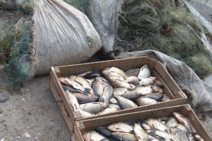 На озері Ялпуг поліцейські викрили рибалку із забороненим знаряддям лову