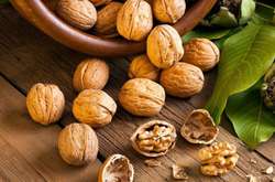 Грузія стала основним покупцем українських волоських горіхів