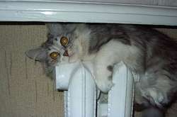 Коли в Україні ввімкнуть опалення