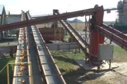 Після модернізації завод «Укрлендфармінг» повністю забезпечує аграріїв власним посівним матеріалом