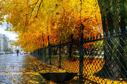 Синоптики прогнозують в Україні місцями невеликий дощ