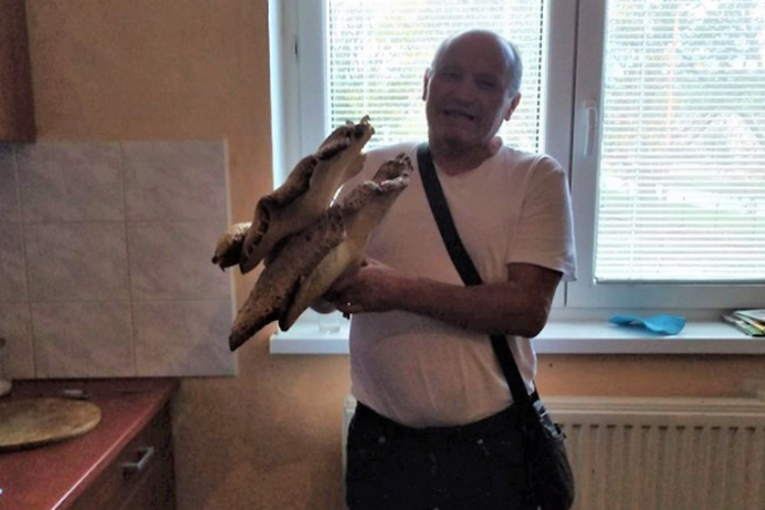 На Закарпатье мужчина нашел гриб весом 7,5 кг