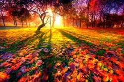  В Україні 2 жовтня буде унікальний синоптичний день