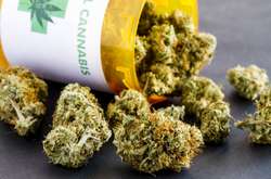 «Звичайно, це потрібно»: глава МОЗ про легалізацію медичної марихуани