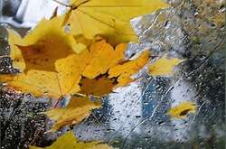 Синоптики повідомили, коли у Київ прийде холод 