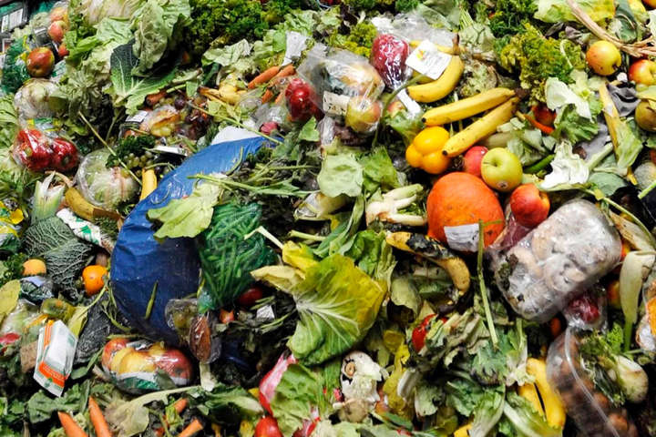 ООН запустила всемирный флешмоб, чтоб уменьшить пищевые отходы