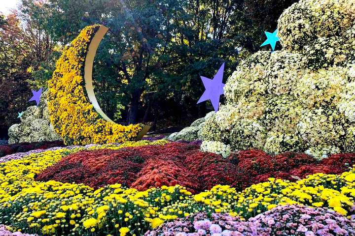 На Співочому полі десятки тисяч хризантем розповідають про таємничі сузір’я (фото)