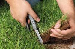 СБУ розслідує, як учасників АТО використали для виведення земель «Пущі-Водиці»