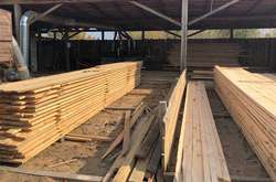 Підприємство здійснювало реалізацію та оброблення деревини без оформлених належним чином дозвільних документів