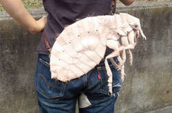 Японец создает реалистичные сумки, которые понравятся не всем (фото)