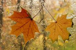 Прогноз погоди на понеділок: заморозки та дощі на півдні України