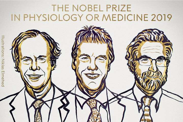 Нобелівську премію з медицини отримали вчені, які дослідили реакцію клітин на кисень 