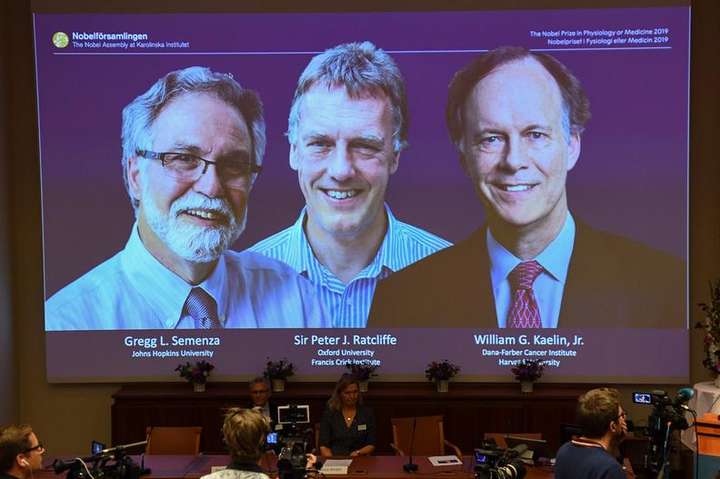Нобелевскими лауреатами по медицине стали ученые из США и Британии