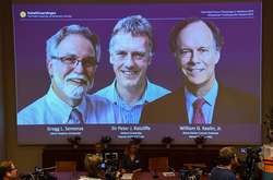 Нобелевскими лауреатами по медицине стали ученые из США и Британии
