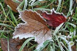 Вівторок у Києві буде морозним