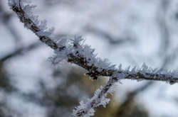 ГСЧС предупреждает о сильных заморозках